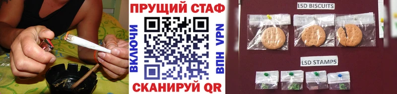 Хочу наркоту Гатчина Экстази  кракен рабочий сайт  A-PVP 