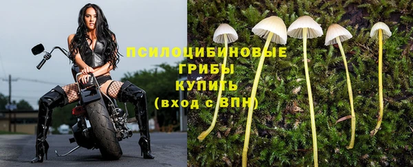 MESCALINE Магадан