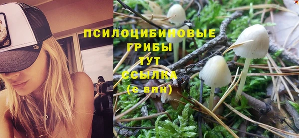 ALPHA PVP Магас