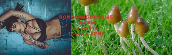MESCALINE Магадан