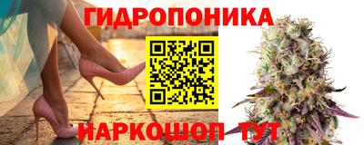 ГАЛЛЮЦИНОГЕННЫЕ ГРИБЫ Донецк