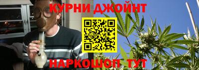 гидра Бузулук