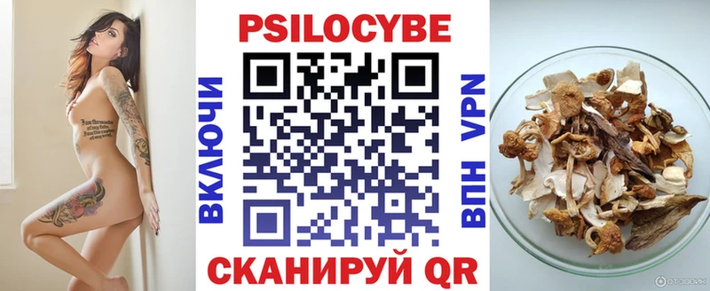 как найти закладки  Гатчина  Галлюциногенные грибы Psilocybe 