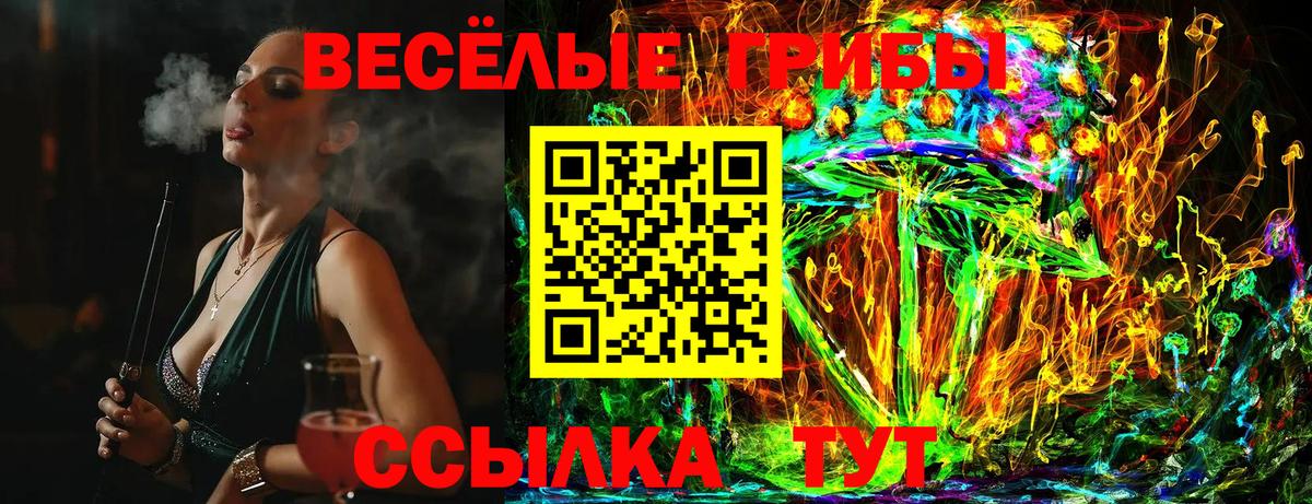 Псилоцибиновые грибы Psilocybine cubensis  Псилоцибиновые грибы мухоморы  закладка  Гатчина  Вход с VPN 