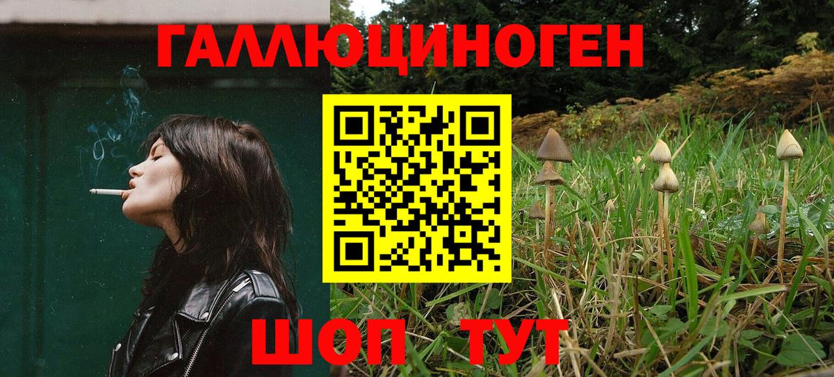 Псилоцибиновые грибы Magic Shrooms Гатчина