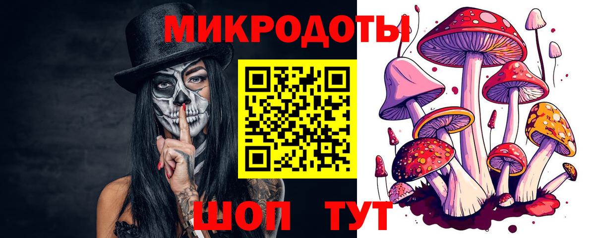 Галлюциногенные грибы MAGIC MUSHROOMS  Гатчина  Псилоцибиновые грибы GOLDEN TEACHER 