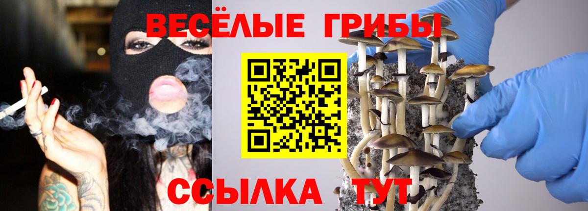 Галлюциногенные грибы прущие грибы Гатчина