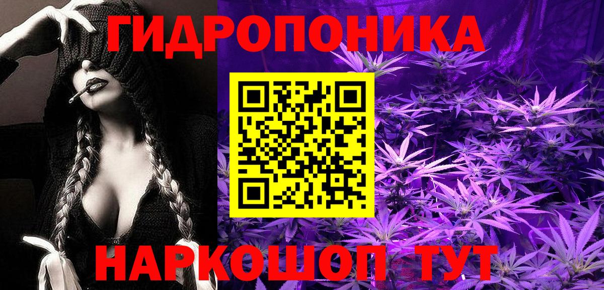 Шишки марихуана Bruce Banner Гатчина